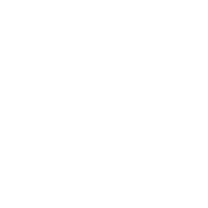 linkedin icon